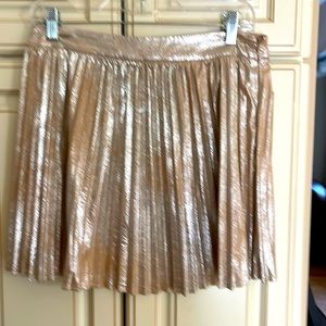 The Impeccable Pig pleated skirt with side zipper.